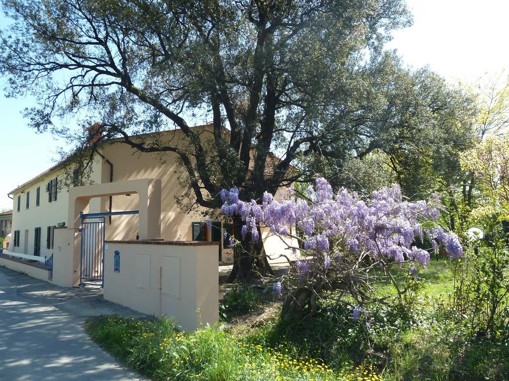 Al Vecchio Leccio Guest House Pistoia Exterior photo