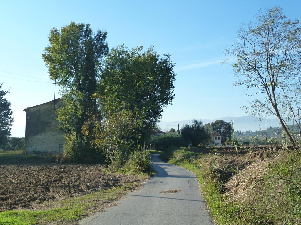Al Vecchio Leccio Guest House Pistoia Exterior photo